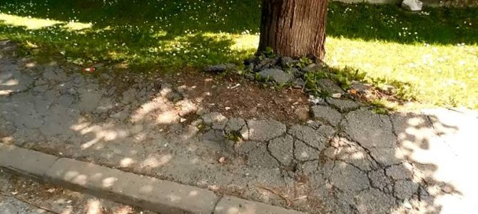 Амбициозан пројекат Општине Владимирци!