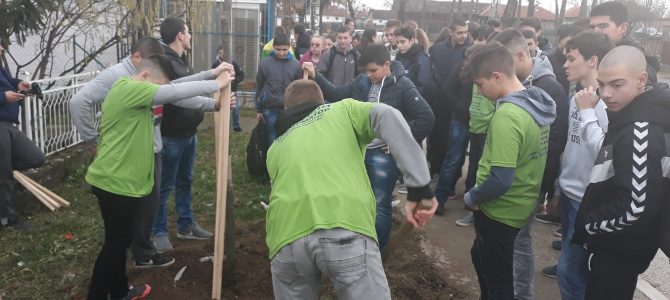 Еколошка активност ученика осмог разреда